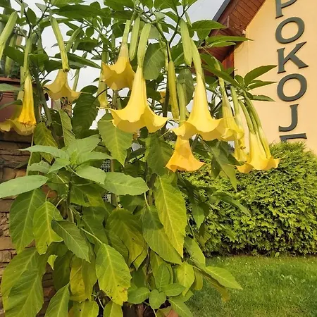 منزل للإقامة Kaprys